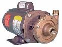 AQPM-15 Series Seawater Pump